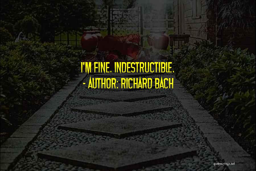 Richard Bach Quotes: I'm Fine. Indestructible.