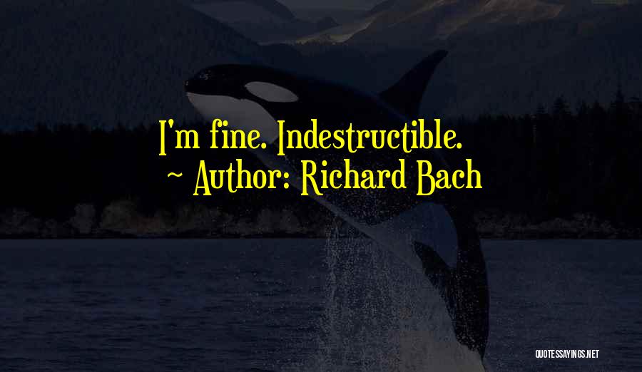 Richard Bach Quotes: I'm Fine. Indestructible.