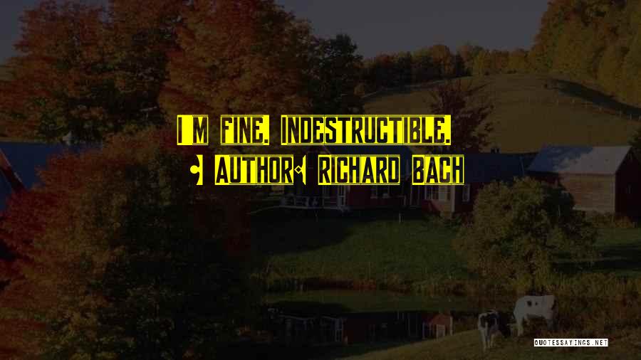 Richard Bach Quotes: I'm Fine. Indestructible.