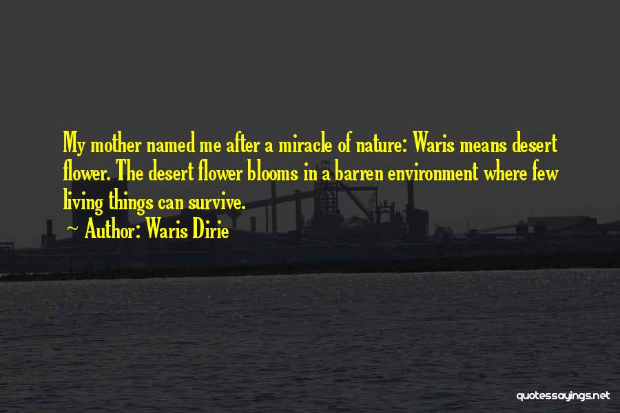 Waris Dirie Quotes: My Mother Named Me After A Miracle Of Nature: Waris Means Desert Flower. The Desert Flower Blooms In A Barren