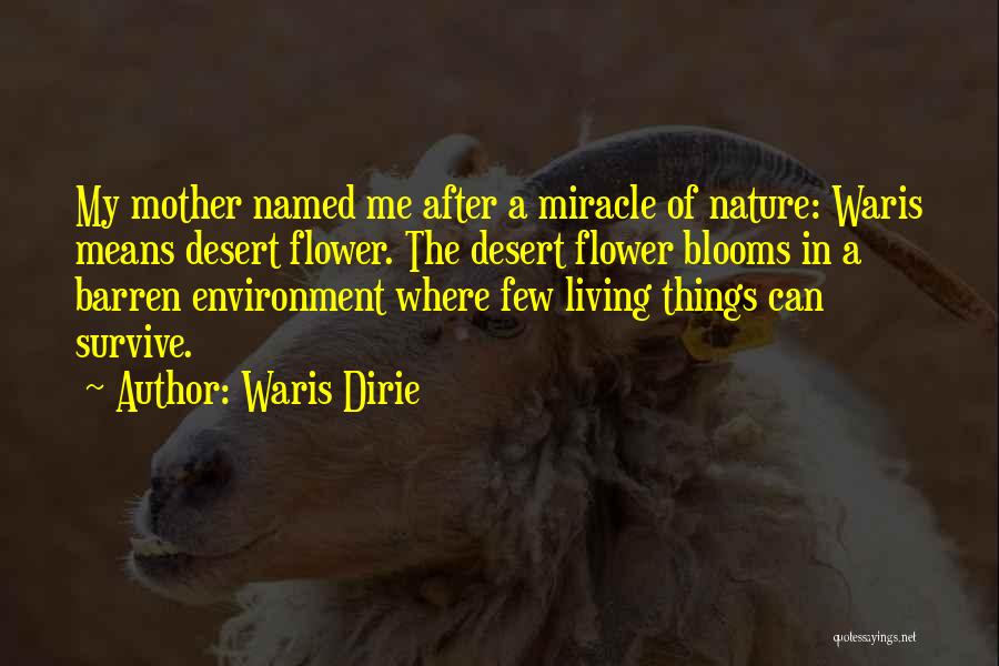 Waris Dirie Quotes: My Mother Named Me After A Miracle Of Nature: Waris Means Desert Flower. The Desert Flower Blooms In A Barren