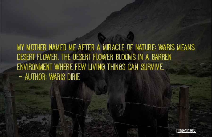 Waris Dirie Quotes: My Mother Named Me After A Miracle Of Nature: Waris Means Desert Flower. The Desert Flower Blooms In A Barren