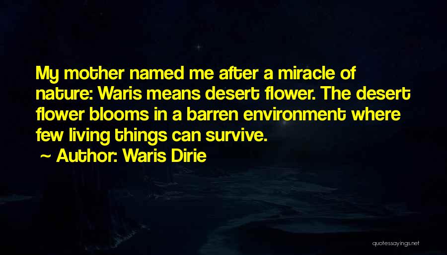 Waris Dirie Quotes: My Mother Named Me After A Miracle Of Nature: Waris Means Desert Flower. The Desert Flower Blooms In A Barren
