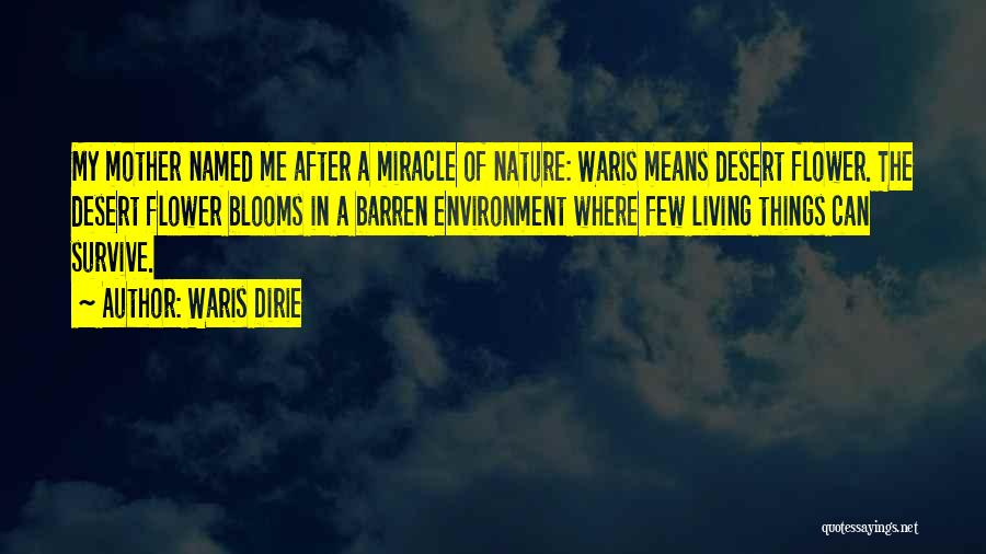 Waris Dirie Quotes: My Mother Named Me After A Miracle Of Nature: Waris Means Desert Flower. The Desert Flower Blooms In A Barren