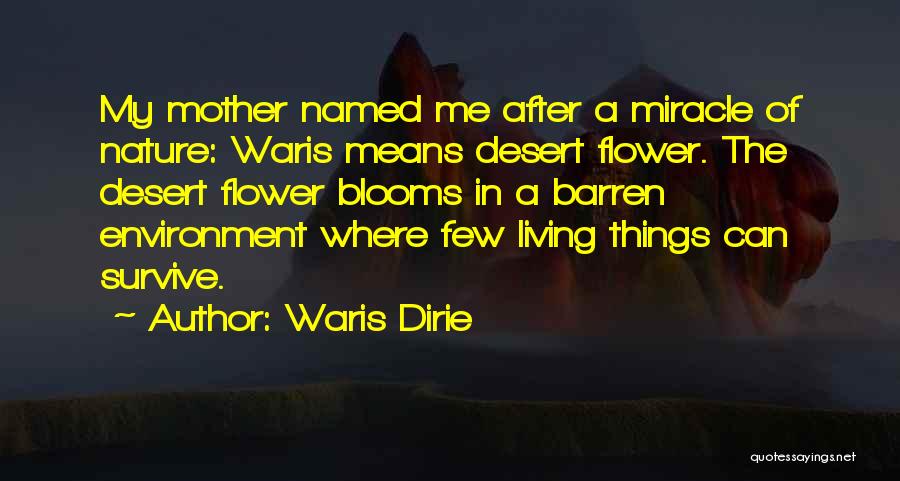 Waris Dirie Quotes: My Mother Named Me After A Miracle Of Nature: Waris Means Desert Flower. The Desert Flower Blooms In A Barren