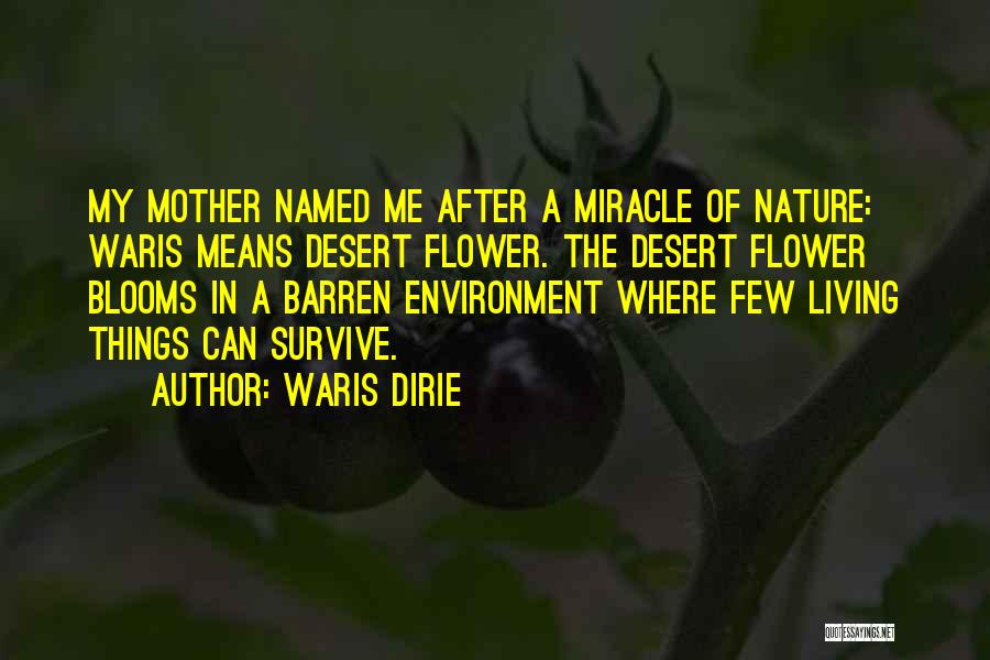 Waris Dirie Quotes: My Mother Named Me After A Miracle Of Nature: Waris Means Desert Flower. The Desert Flower Blooms In A Barren