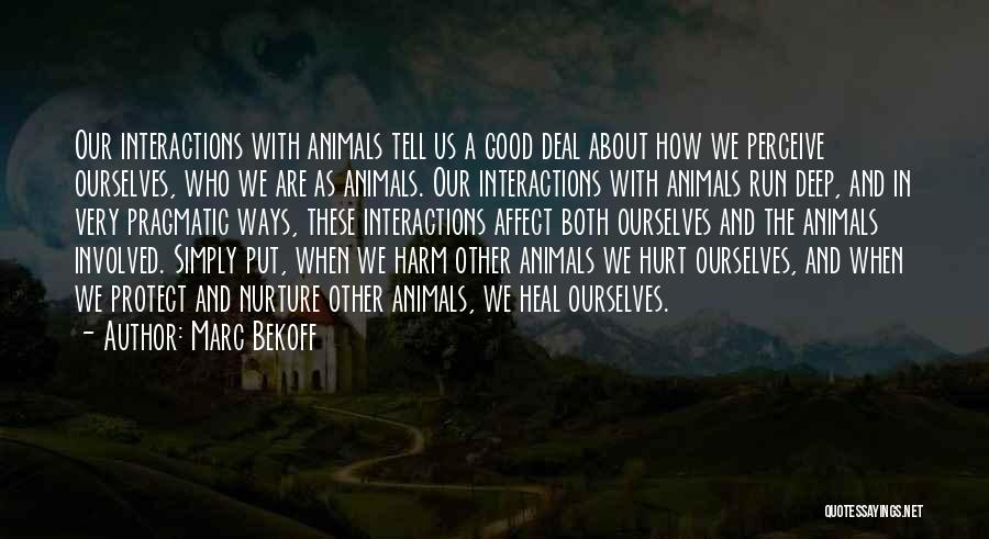 Marc Bekoff Quotes: Our Interactions With Animals Tell Us A Good Deal About How We Perceive Ourselves, Who We Are As Animals. Our