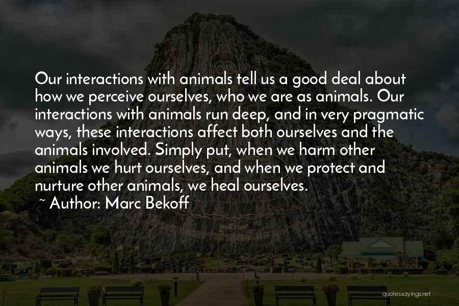 Marc Bekoff Quotes: Our Interactions With Animals Tell Us A Good Deal About How We Perceive Ourselves, Who We Are As Animals. Our