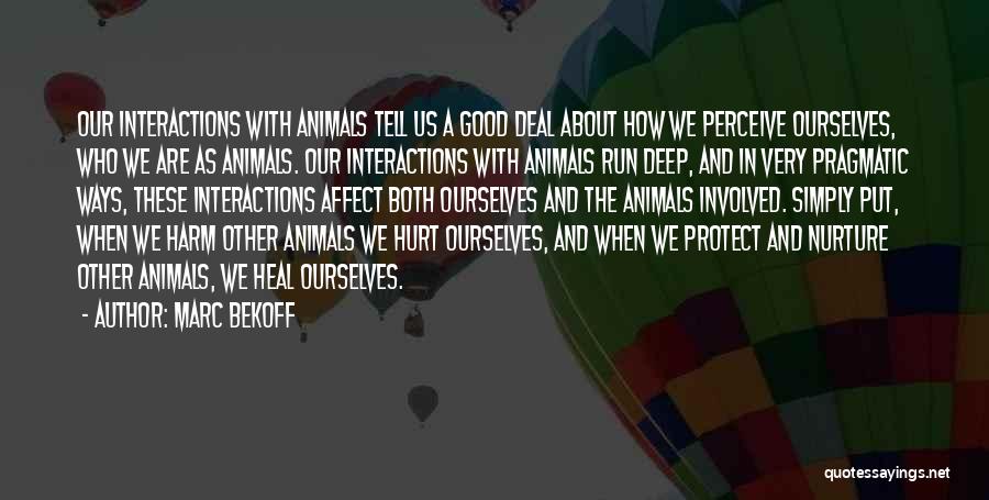 Marc Bekoff Quotes: Our Interactions With Animals Tell Us A Good Deal About How We Perceive Ourselves, Who We Are As Animals. Our
