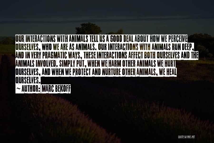 Marc Bekoff Quotes: Our Interactions With Animals Tell Us A Good Deal About How We Perceive Ourselves, Who We Are As Animals. Our