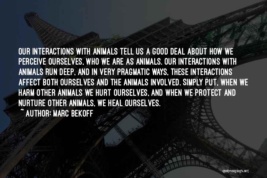Marc Bekoff Quotes: Our Interactions With Animals Tell Us A Good Deal About How We Perceive Ourselves, Who We Are As Animals. Our