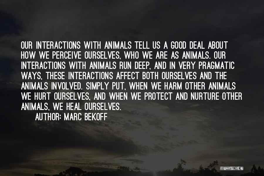 Marc Bekoff Quotes: Our Interactions With Animals Tell Us A Good Deal About How We Perceive Ourselves, Who We Are As Animals. Our