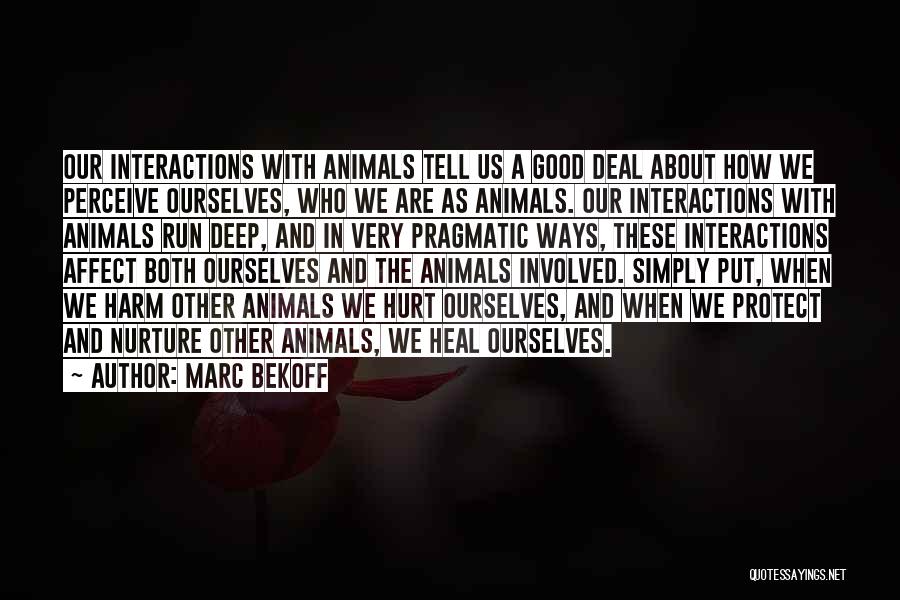 Marc Bekoff Quotes: Our Interactions With Animals Tell Us A Good Deal About How We Perceive Ourselves, Who We Are As Animals. Our