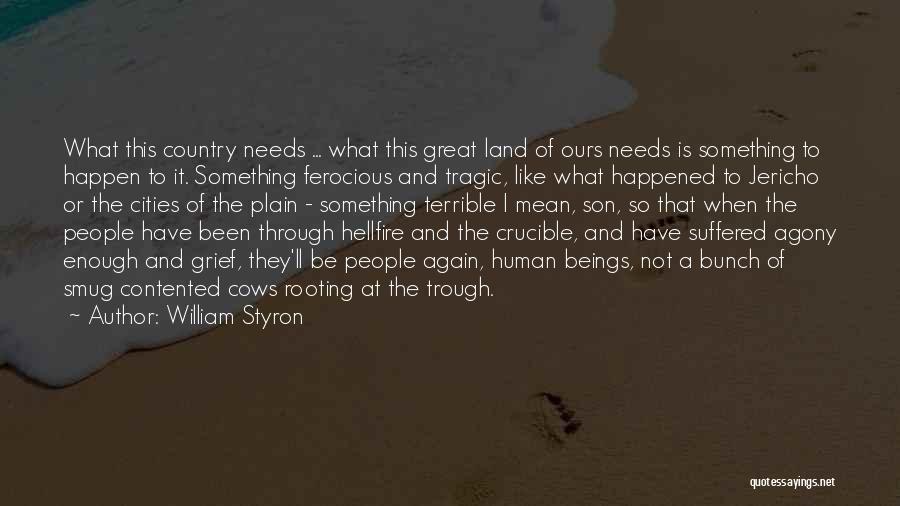 William Styron Quotes: What This Country Needs ... What This Great Land Of Ours Needs Is Something To Happen To It. Something Ferocious
