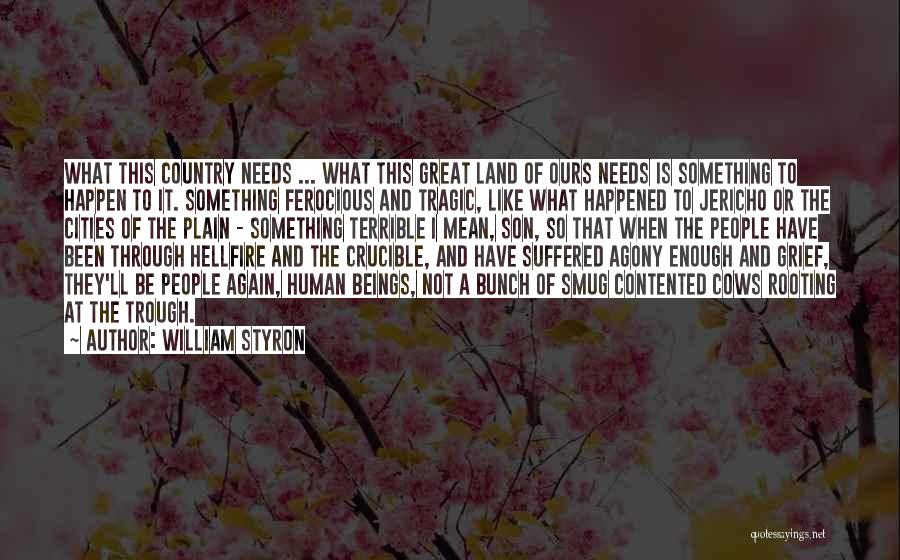 William Styron Quotes: What This Country Needs ... What This Great Land Of Ours Needs Is Something To Happen To It. Something Ferocious