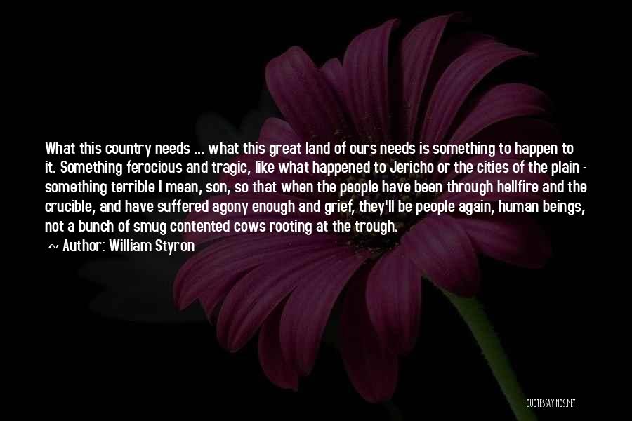 William Styron Quotes: What This Country Needs ... What This Great Land Of Ours Needs Is Something To Happen To It. Something Ferocious