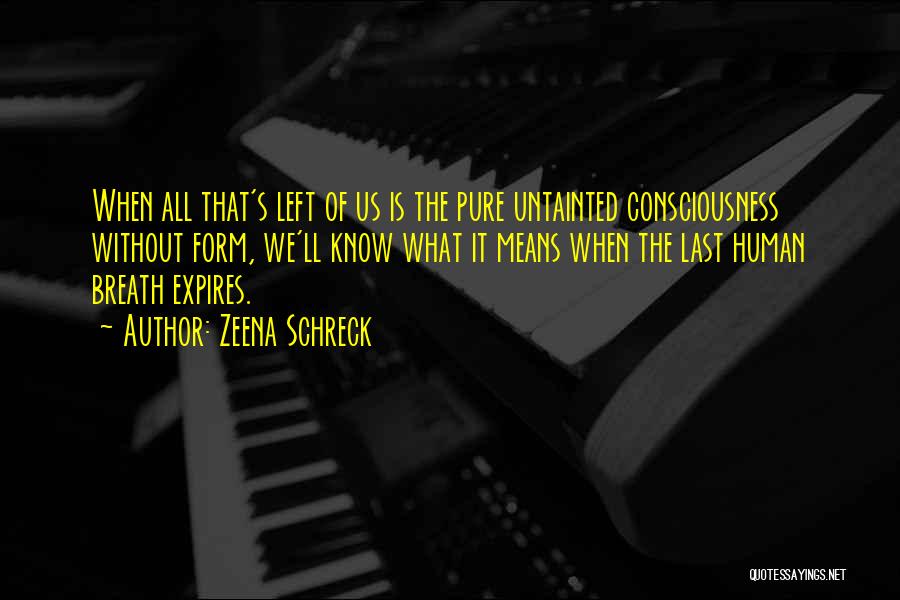 Zeena Schreck Quotes: When All That's Left Of Us Is The Pure Untainted Consciousness Without Form, We'll Know What It Means When The