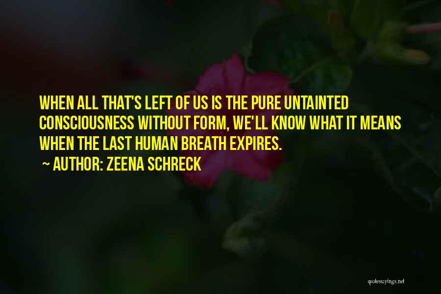 Zeena Schreck Quotes: When All That's Left Of Us Is The Pure Untainted Consciousness Without Form, We'll Know What It Means When The