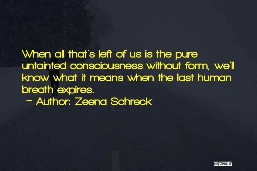 Zeena Schreck Quotes: When All That's Left Of Us Is The Pure Untainted Consciousness Without Form, We'll Know What It Means When The