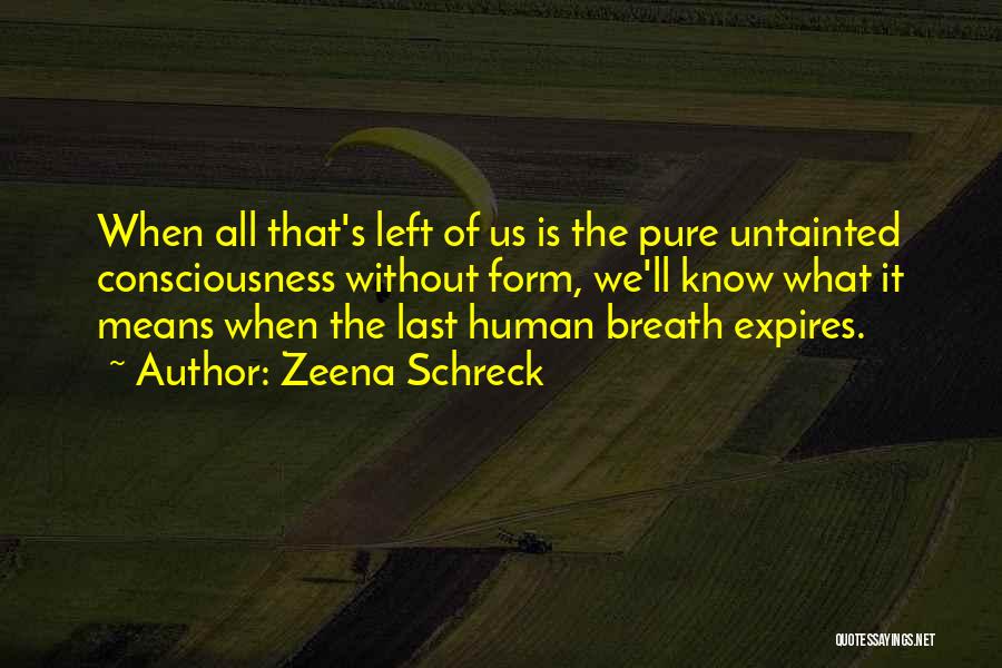 Zeena Schreck Quotes: When All That's Left Of Us Is The Pure Untainted Consciousness Without Form, We'll Know What It Means When The
