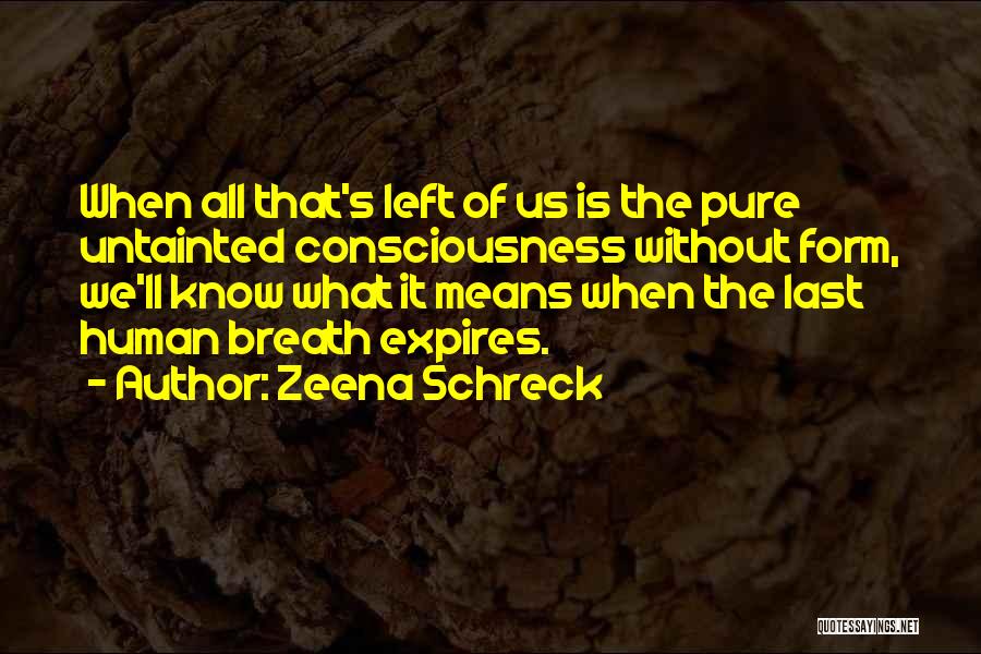 Zeena Schreck Quotes: When All That's Left Of Us Is The Pure Untainted Consciousness Without Form, We'll Know What It Means When The