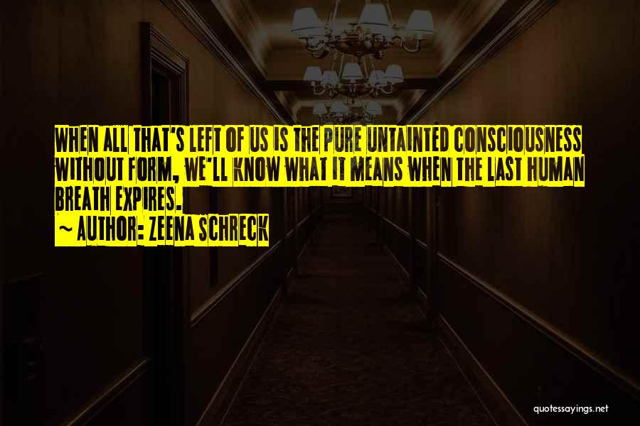 Zeena Schreck Quotes: When All That's Left Of Us Is The Pure Untainted Consciousness Without Form, We'll Know What It Means When The