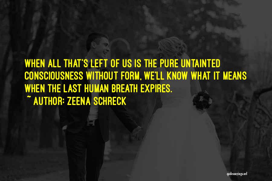 Zeena Schreck Quotes: When All That's Left Of Us Is The Pure Untainted Consciousness Without Form, We'll Know What It Means When The