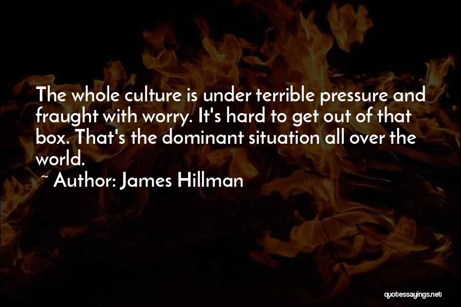 James Hillman Quotes: The Whole Culture Is Under Terrible Pressure And Fraught With Worry. It's Hard To Get Out Of That Box. That's