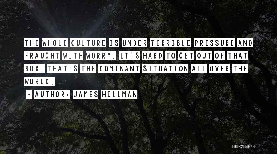 James Hillman Quotes: The Whole Culture Is Under Terrible Pressure And Fraught With Worry. It's Hard To Get Out Of That Box. That's
