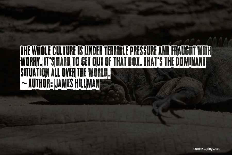 James Hillman Quotes: The Whole Culture Is Under Terrible Pressure And Fraught With Worry. It's Hard To Get Out Of That Box. That's