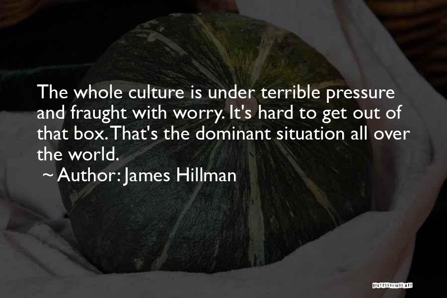 James Hillman Quotes: The Whole Culture Is Under Terrible Pressure And Fraught With Worry. It's Hard To Get Out Of That Box. That's