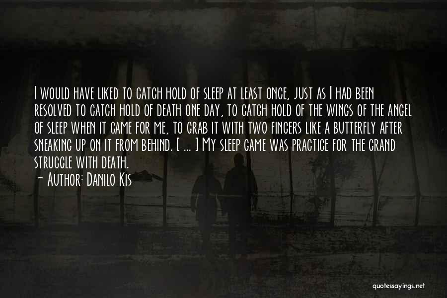 Danilo Kis Quotes: I Would Have Liked To Catch Hold Of Sleep At Least Once, Just As I Had Been Resolved To Catch