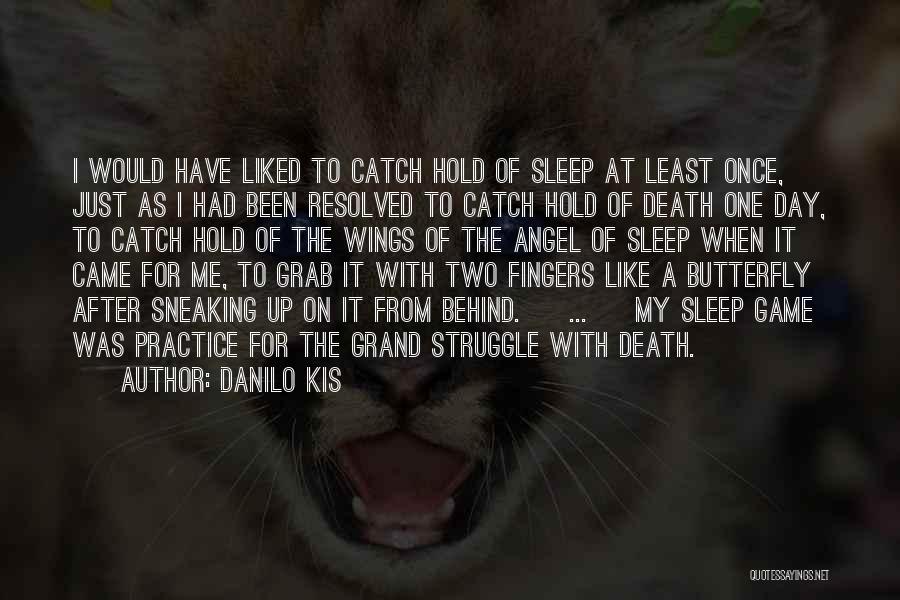 Danilo Kis Quotes: I Would Have Liked To Catch Hold Of Sleep At Least Once, Just As I Had Been Resolved To Catch