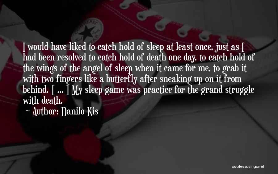 Danilo Kis Quotes: I Would Have Liked To Catch Hold Of Sleep At Least Once, Just As I Had Been Resolved To Catch