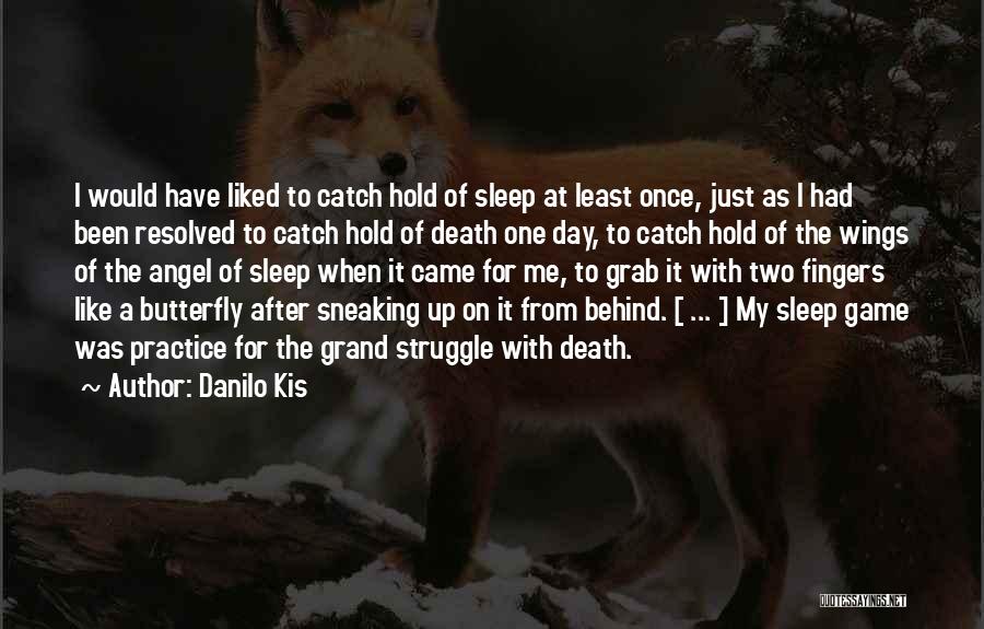 Danilo Kis Quotes: I Would Have Liked To Catch Hold Of Sleep At Least Once, Just As I Had Been Resolved To Catch