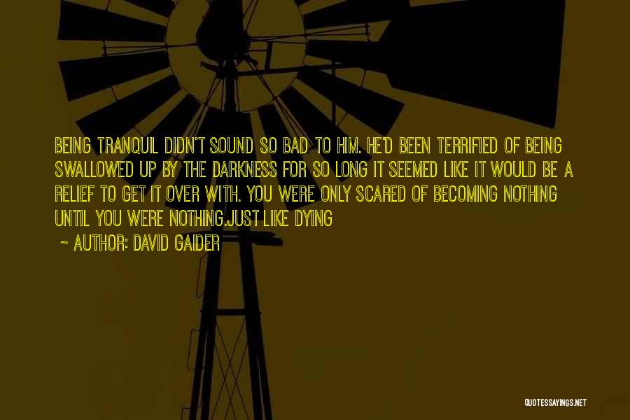 David Gaider Quotes: Being Tranquil Didn't Sound So Bad To Him. He'd Been Terrified Of Being Swallowed Up By The Darkness For So