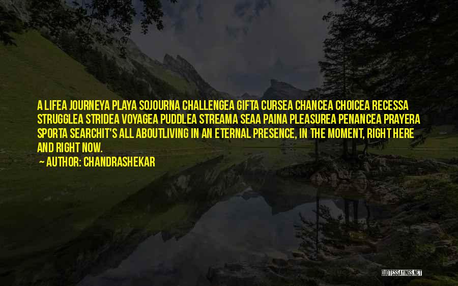 Chandrashekar Quotes: A Lifea Journeya Playa Sojourna Challengea Gifta Cursea Chancea Choicea Recessa Strugglea Stridea Voyagea Puddlea Streama Seaa Paina Pleasurea Penancea