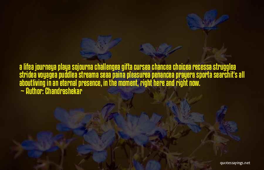 Chandrashekar Quotes: A Lifea Journeya Playa Sojourna Challengea Gifta Cursea Chancea Choicea Recessa Strugglea Stridea Voyagea Puddlea Streama Seaa Paina Pleasurea Penancea