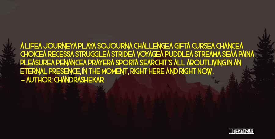 Chandrashekar Quotes: A Lifea Journeya Playa Sojourna Challengea Gifta Cursea Chancea Choicea Recessa Strugglea Stridea Voyagea Puddlea Streama Seaa Paina Pleasurea Penancea