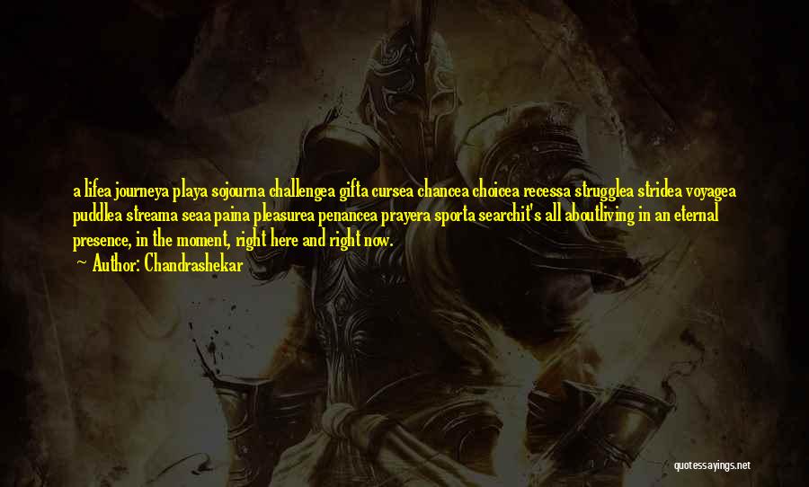 Chandrashekar Quotes: A Lifea Journeya Playa Sojourna Challengea Gifta Cursea Chancea Choicea Recessa Strugglea Stridea Voyagea Puddlea Streama Seaa Paina Pleasurea Penancea