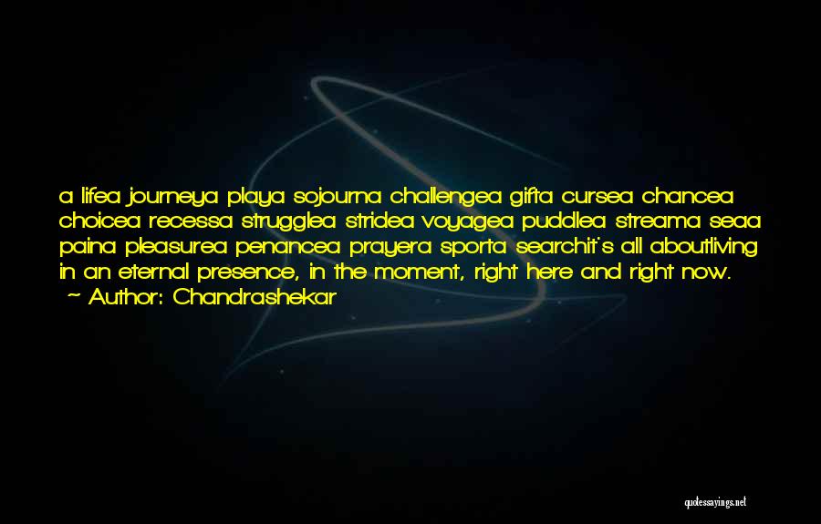 Chandrashekar Quotes: A Lifea Journeya Playa Sojourna Challengea Gifta Cursea Chancea Choicea Recessa Strugglea Stridea Voyagea Puddlea Streama Seaa Paina Pleasurea Penancea