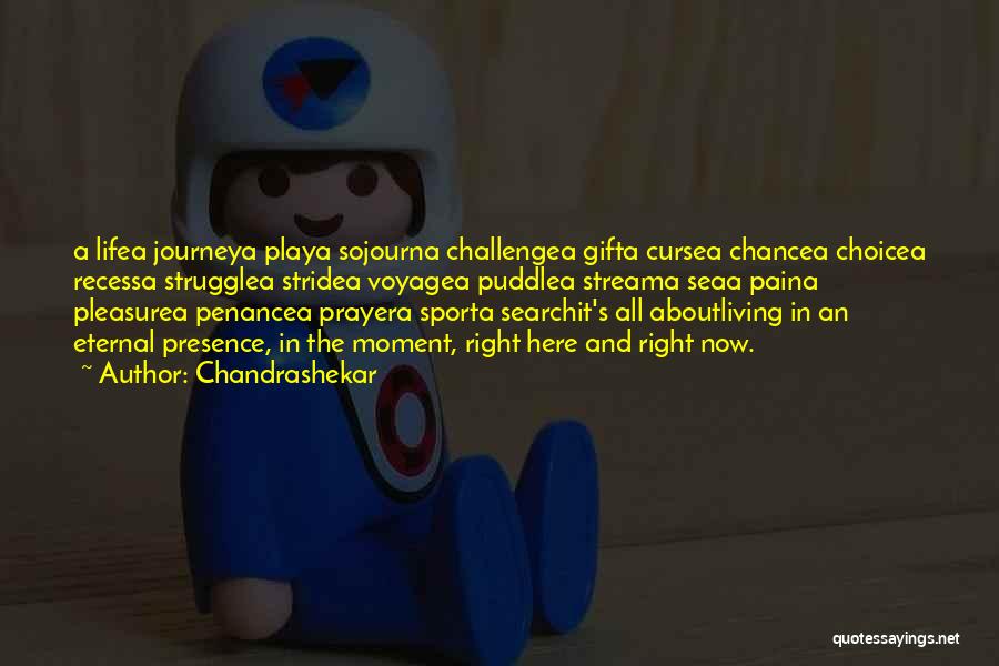 Chandrashekar Quotes: A Lifea Journeya Playa Sojourna Challengea Gifta Cursea Chancea Choicea Recessa Strugglea Stridea Voyagea Puddlea Streama Seaa Paina Pleasurea Penancea