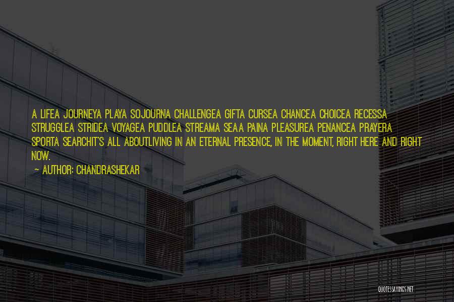 Chandrashekar Quotes: A Lifea Journeya Playa Sojourna Challengea Gifta Cursea Chancea Choicea Recessa Strugglea Stridea Voyagea Puddlea Streama Seaa Paina Pleasurea Penancea