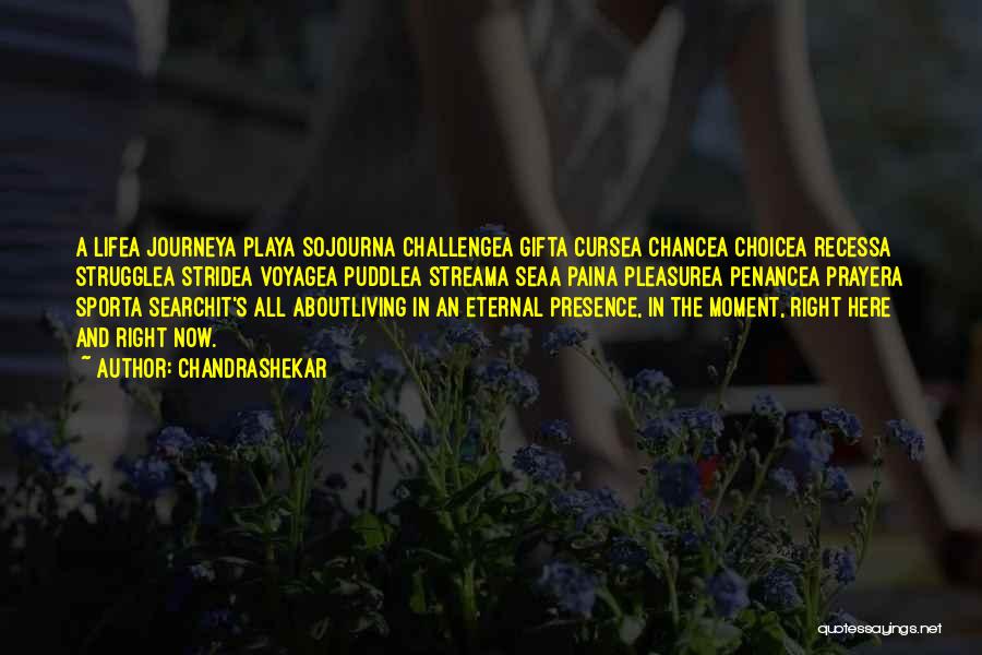 Chandrashekar Quotes: A Lifea Journeya Playa Sojourna Challengea Gifta Cursea Chancea Choicea Recessa Strugglea Stridea Voyagea Puddlea Streama Seaa Paina Pleasurea Penancea