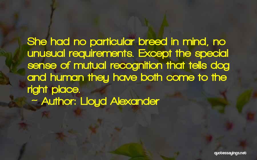 Lloyd Alexander Quotes: She Had No Particular Breed In Mind, No Unusual Requirements. Except The Special Sense Of Mutual Recognition That Tells Dog