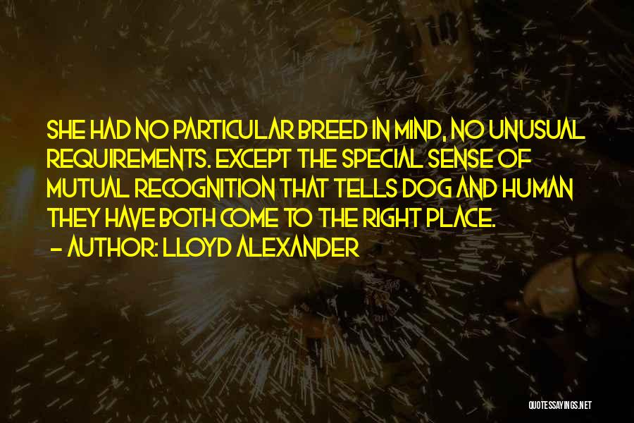 Lloyd Alexander Quotes: She Had No Particular Breed In Mind, No Unusual Requirements. Except The Special Sense Of Mutual Recognition That Tells Dog