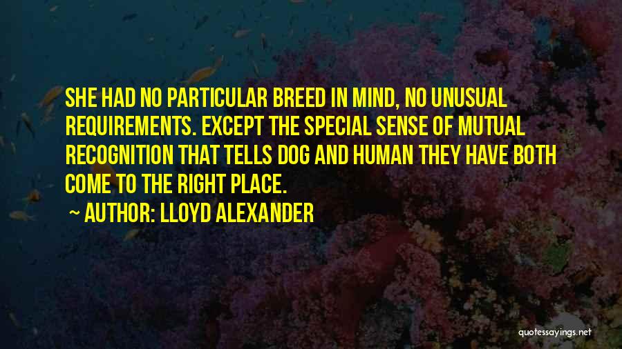 Lloyd Alexander Quotes: She Had No Particular Breed In Mind, No Unusual Requirements. Except The Special Sense Of Mutual Recognition That Tells Dog