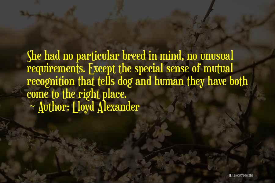 Lloyd Alexander Quotes: She Had No Particular Breed In Mind, No Unusual Requirements. Except The Special Sense Of Mutual Recognition That Tells Dog