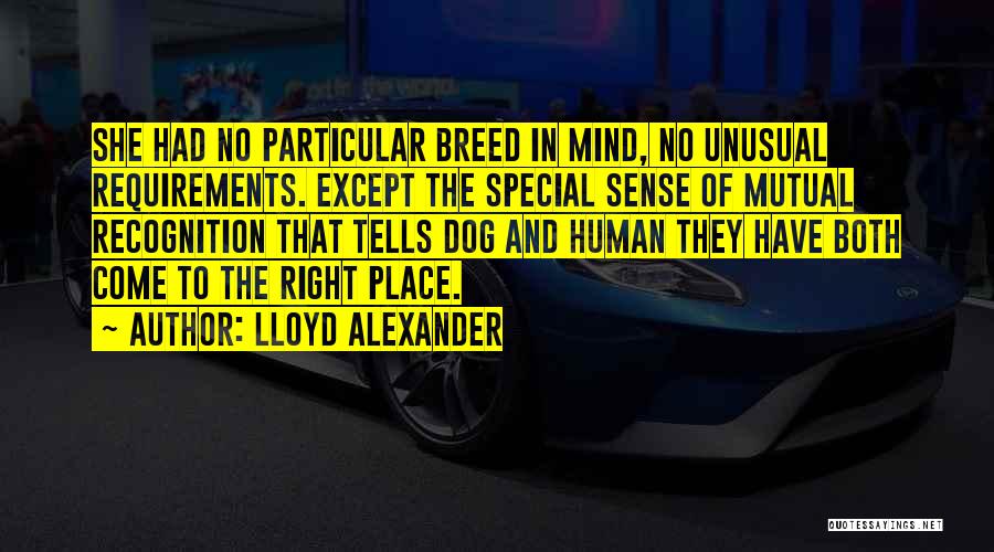 Lloyd Alexander Quotes: She Had No Particular Breed In Mind, No Unusual Requirements. Except The Special Sense Of Mutual Recognition That Tells Dog