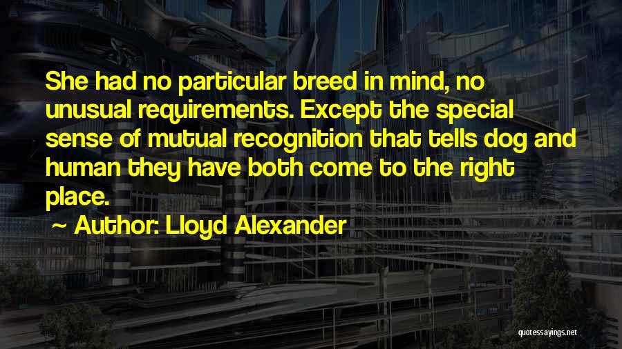 Lloyd Alexander Quotes: She Had No Particular Breed In Mind, No Unusual Requirements. Except The Special Sense Of Mutual Recognition That Tells Dog